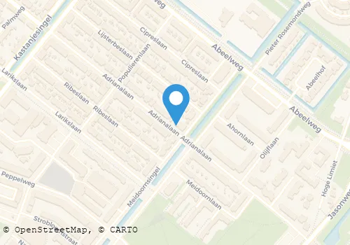 Kaart