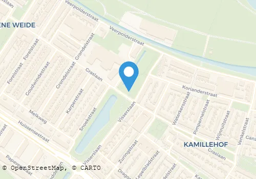 Kaart