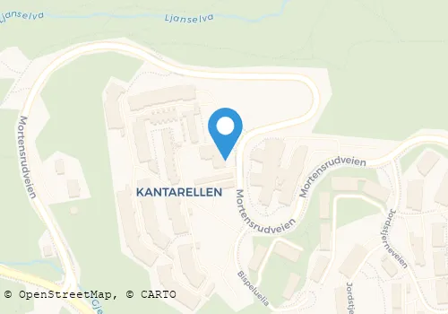 Kart